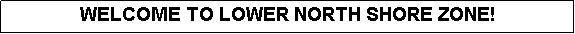 Text Box: WELCOME TO LOWER NORTH SHORE ZONE!